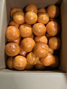 柿 （干し柿、さわし用渋柿）8キロ
