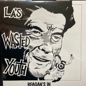 Wasted Youth「Regan's In」 1989年 72304 US盤 レコード LPハードコア 
