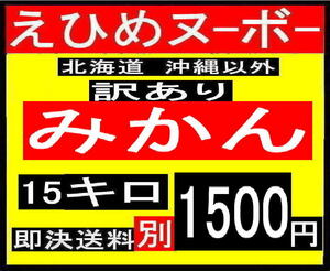 AD えひめヌーボー　みかん　訳あり　15キロ