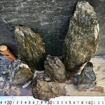 アクアリウム 渓谷石セット②★清流石 水槽レイアウト メダカ 熱帯魚_画像4