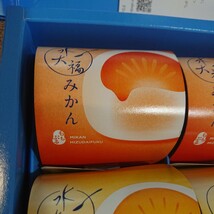 柑橘フルーツの水大福餅 9個_画像6