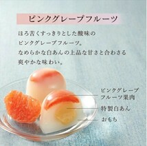 柑橘フルーツの水大福餅 9個_画像4