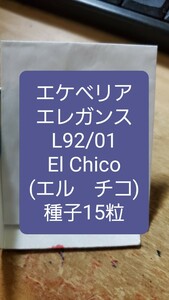 エケベリア　エレガンス L92/01, El Chico エル　チコ　種子15粒