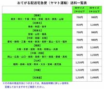 お得な大容量! 【 500mg 250カプセル 】 now マカ : 高配合 送料350円から_画像4