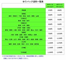 お得な大容量! 【 500mg 250カプセル 】 now マカ : 高配合 送料350円から_画像3