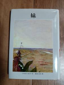 妹―中国残留孤児をさがして　小中沢 小夜子（作）高田 三郎（絵）金の星社　[aa53]