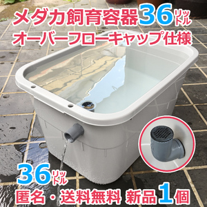 メダカ飼育容器【36㍑グレー 1個 オーバーフローキャップ付】匿名 送料込 金魚 飼育ケース タライ 水槽 水草 ビオトープ 【五色アクア】