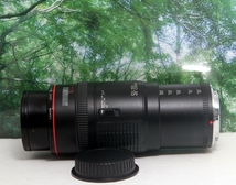 ☆1円スタート♪美品の軽いLレンズ☆ちょい訳ありCANON EF 50-200mm F3.5-4.5L♪_画像8