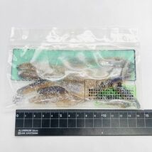 613956 新品 カリフォルニアワーム パドルテールグラブ 3-1/2インチ １０本 CALIFORNIA WORM PADDLE TAIL GRUB MPTG-SP-16 オールド品_画像2