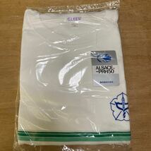 3L OLLES 城南中学校体操服Tシャツ 緑ライン 学販品_画像1