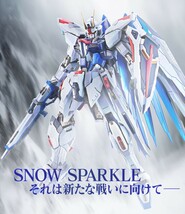 【当選品未開封】METAL BUILD（メタルビルド） フリーダムガンダム concept 2 snow sparkle ver.　freedomgundam_画像1