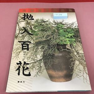 D03-209 池田昌弘作品集 抛入百花 1997年10月30日第1刷発行 講談社 いけばな