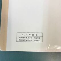 D06-147 カラー版 鉢もの園芸〔やさしい栽培〕作り方のコツがわかる本 書き込み有り_画像5