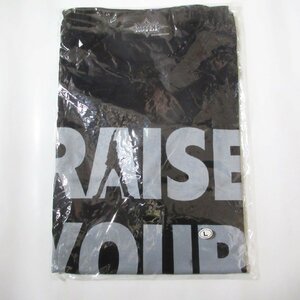 布袋寅泰 Tシャツ Raise Your Fist!! G柄 FUNKY PUNKY TOUR 2007