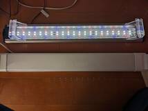 ☆クリア LED POWERⅢ 600＋ショップオリジナル　６０センチ水槽用LEDライト２個SET＋繰り返しタイマー☆_画像4