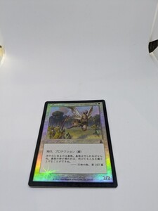 MTG　【JP】【Foil】《義務の声/Voice of Duty》[UDS] 白U