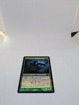 MTG　【JP】【Foil】《巨森のハイドラ/Vastwood Hydra》[M14] 緑R_画像1