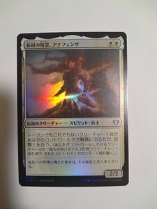 MTG マジックザギャザリング 族樹の精霊、アナフェンザ foil 日本語版 1枚