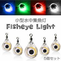 魚眼型集魚灯 LED集魚灯 水中ライト 高輝度 フィッシュアイライト　小型水中集魚灯 C_画像1