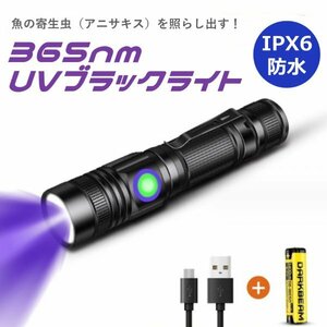 UVライト アニサキスライト 365nm 訳あり品 ブラックライト 防水IPX6 充電式 5W LED 猫の真菌発見 レジン硬化 真贋鑑定 鉱物鑑定 蓄光 F