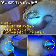 UVライト アニサキスライト 365nm 訳あり品 ブラックライト 防水IPX6 充電式 5W LED 猫の真菌発見 レジン硬化 真贋鑑定 鉱物鑑定 蓄光 D_画像6