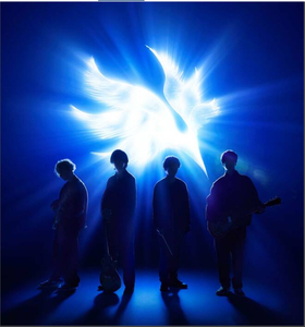 BUMP OF CHICKEN TOUR ホームシック衛生２０２４　最速先行　応募　シリアルコード　シリアルナンバー 1枚　※シリアルのみ