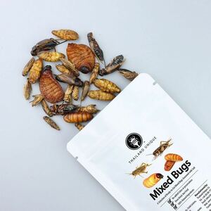 THAILAND UNIQUE 食べられる昆虫シリーズ　ミックスバグ 15g　塩味 [並行輸入品]