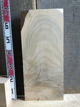 【EC42T】楠 670×295×55㎜ 樟 クス 一枚板 材料 天然木 無垢材 木材 希少材 乾燥材 銘木 木工 DIY《銘木登屋》_画像6