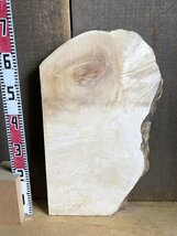 【EI648G】栃 670×～430×35㎜ 極上杢 一枚板 材料 天然木 無垢材 乾燥材 銘木 材木 木工 DIY《銘木登屋》_画像8