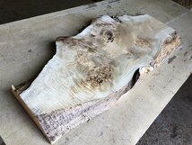 【EK12S】ポプラ 675×～350×37㎜ 瘤杢 一枚板 材料 天然木 無垢材 木材 希少材 乾燥材 銘木 木工 DIY レジン用《銘木登屋》_画像1