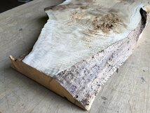 【EK12S】ポプラ 675×～350×37㎜ 瘤杢 一枚板 材料 天然木 無垢材 木材 希少材 乾燥材 銘木 木工 DIY レジン用《銘木登屋》_画像2
