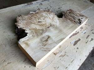 【EK13S】ポプラ 475×～270×43㎜ 瘤杢 一枚板 材料 天然木 無垢材 木材 希少材 乾燥材 銘木 木工 DIY レジン用《銘木登屋》