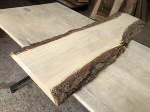【EF110E】イエローポプラ 990×～285×35㎜ 一枚板 材料 天然木 無垢材 木材 希少材 乾燥材 銘木 木工 DIY《銘木登屋》