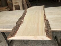 【EF113E】イエローポプラ 720×～310×30㎜ 一枚板 材料 天然木 無垢材 木材 希少材 乾燥材 銘木 木工 DIY《銘木登屋》_画像4
