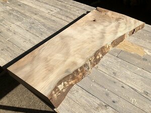 【DL832A】プラタナス 840×～385×44㎜ スズカケノキ 一枚板 材料 天然木 無垢材 木材 希少材 乾燥材 銘木 木工《銘木登屋》