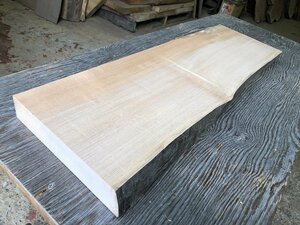 【DL61D】樺 774×～250×～49㎜ 一枚板 材料 天然木 無垢材 木材 乾燥材 銘木 希少材 DIY 木工 カバ《銘木登屋》