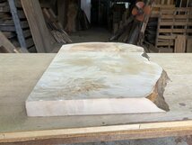 【EI648G】栃 670×～430×35㎜ 極上杢 一枚板 材料 天然木 無垢材 乾燥材 銘木 材木 木工 DIY《銘木登屋》_画像4