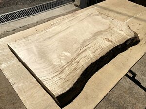 【EJ255U】椎 650×～445×28㎜ シイ 極上杢 一枚板 材料 天然木 無垢材 乾燥材 銘木 材木 木工 DIY《銘木登屋》