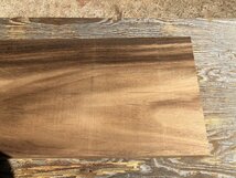 【EB844B】モンキーポッド 630×307×61㎜ 一枚板 材料 天然木 無垢材 木材 希少材 乾燥材 銘木 木工 《銘木登屋》_画像7