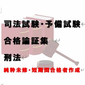 司法試験 予備試験法科大学院入試 合格論証集 刑法