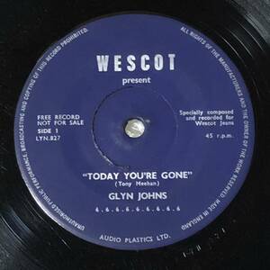 Glyn Johns / Today You're Gone UK Mono 7' Single 