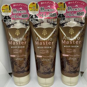 【3個セット】 アミノマスター ヘアマスク トリートメント200g