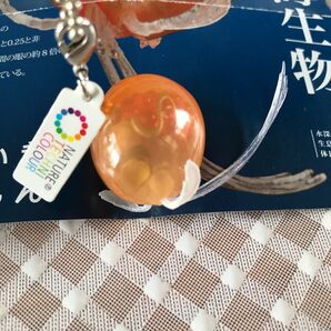 ガチャ 深海生物