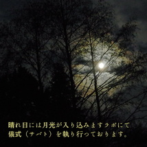 月光魔術開光運上昇／全開運アップのお守り！月光パワーで人生を幸福と幸せで満たす運命を引き寄せ！_画像6