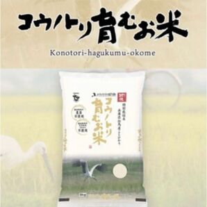 コウノトリ育むお米　精米10キロ　但馬産100%減農薬　無農薬