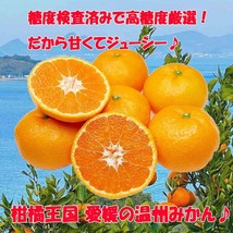 愛媛県産 温州 みかん Mサイズ Lサイズ 混合 5kg 愛媛みかん 柑橘 温州みかん お取り寄せ 取寄 国産 訳あり 家庭用 温州みかん 不揃い_画像2