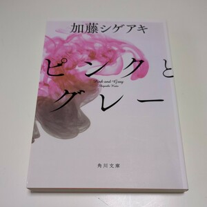 文庫版 ピンクとグレー （角川文庫　か６６－１） 加藤シゲアキ 中古