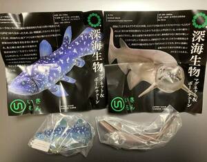 ネイチャーテクニカラー 深海生物 シーラカンス&ラブカ ボールチェーン 2種セット