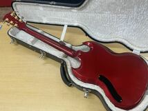 Gibson SG Diablo ディアブロ 限定品_画像6