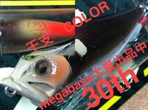 【干支 COLOR】Megabass ルアー メガバス POPX 申　30th（検:POP-X、希少、ポップX、POPMAX、SP-C、限定、入手困難）※同梱可能_画像1